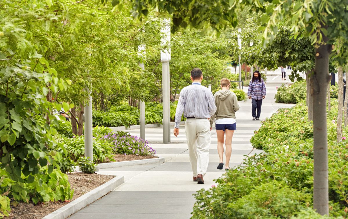 Person walking on a bright sidewalk with trees